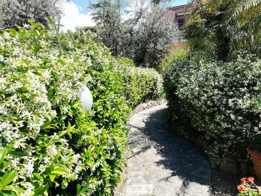 Casa Dinky Attico Con Terrazza Vista Mare Apartamento Formia Exterior foto
